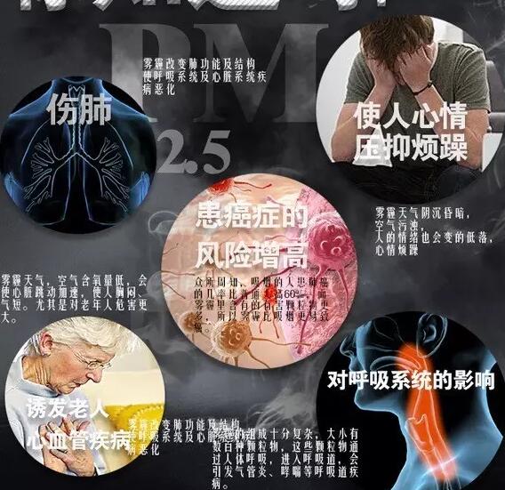 雾霾产生的疾病—91视频黄色